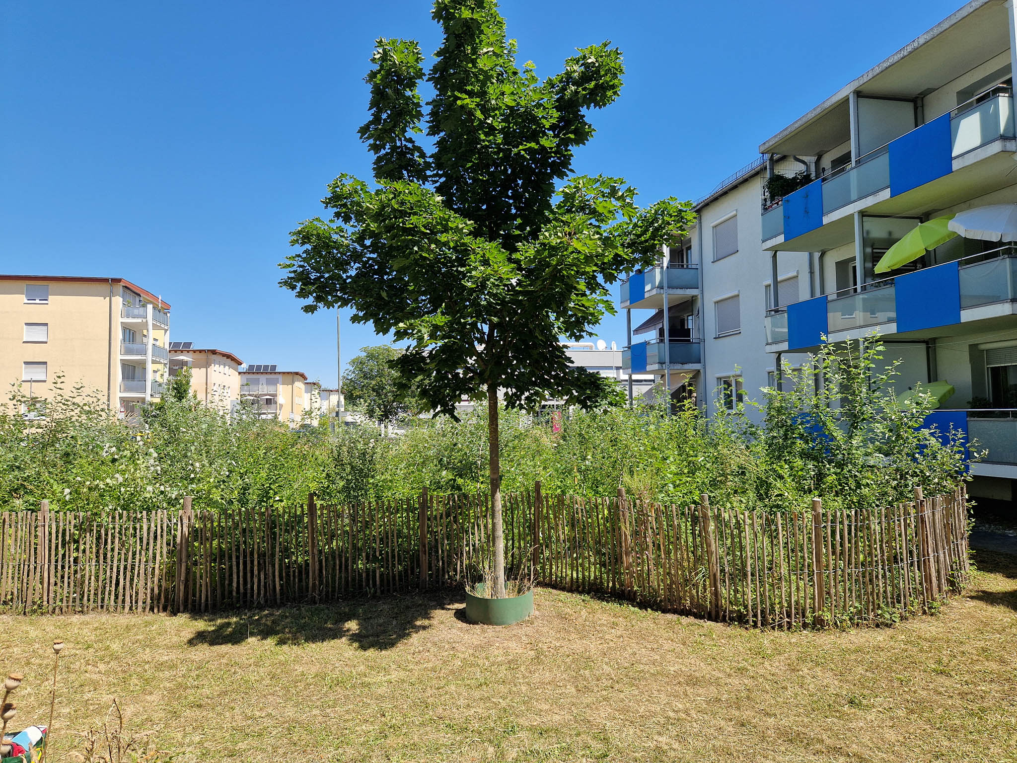 Mühlheim 2025