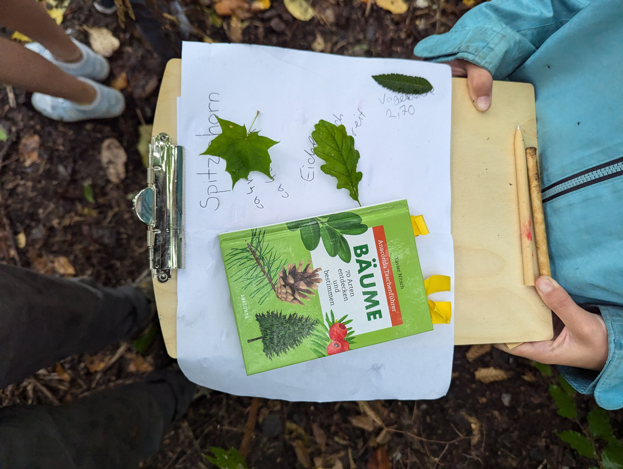 PXL_20240909_091523930