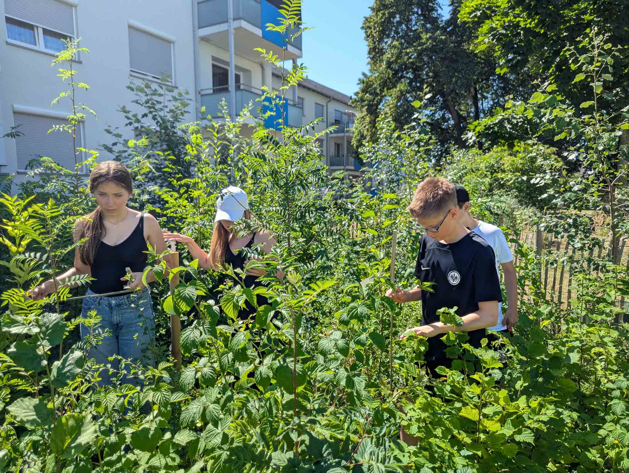 PXL_20250701_085631284